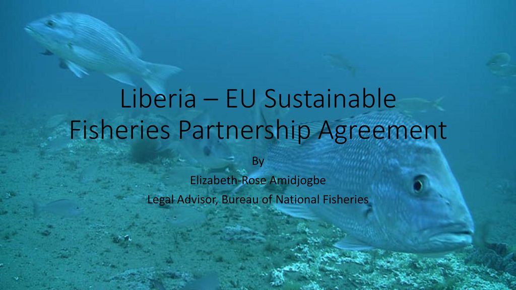 Liberia – EU Sustainable Fisheries Partnership Agreement - ppt download