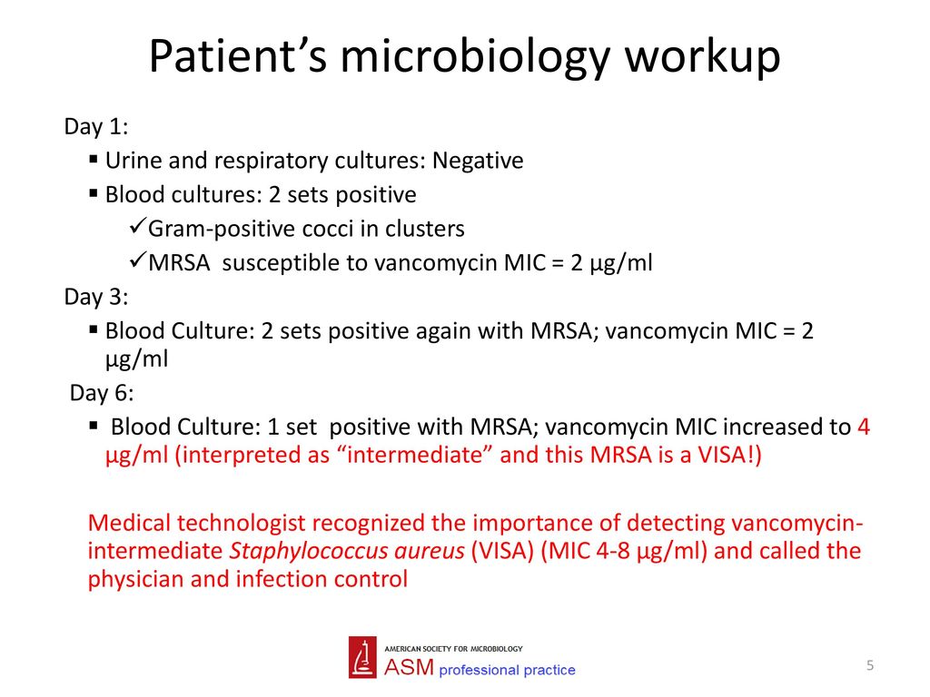 Patient’s microbiology workup