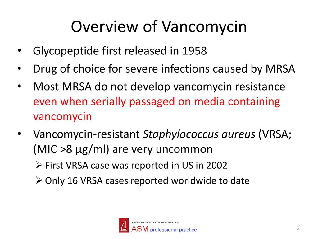 Overview of Vancomycin