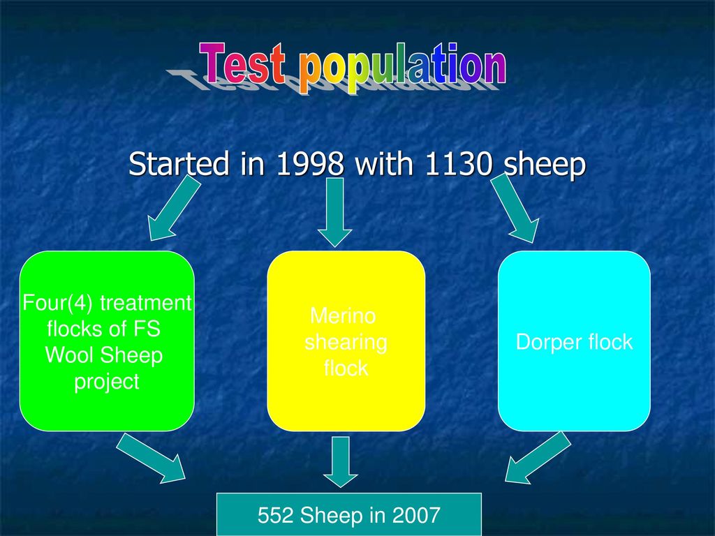 Test population Started in 1998 with 1130 sheep Four(4) treatment