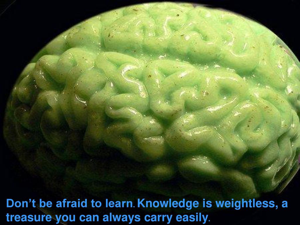 Don’t be afraid to learn. Knowledge is weightless, a