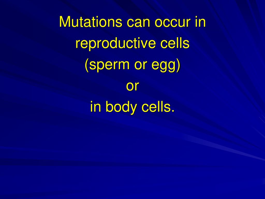 11.3 Mutations. Biology Diagrams