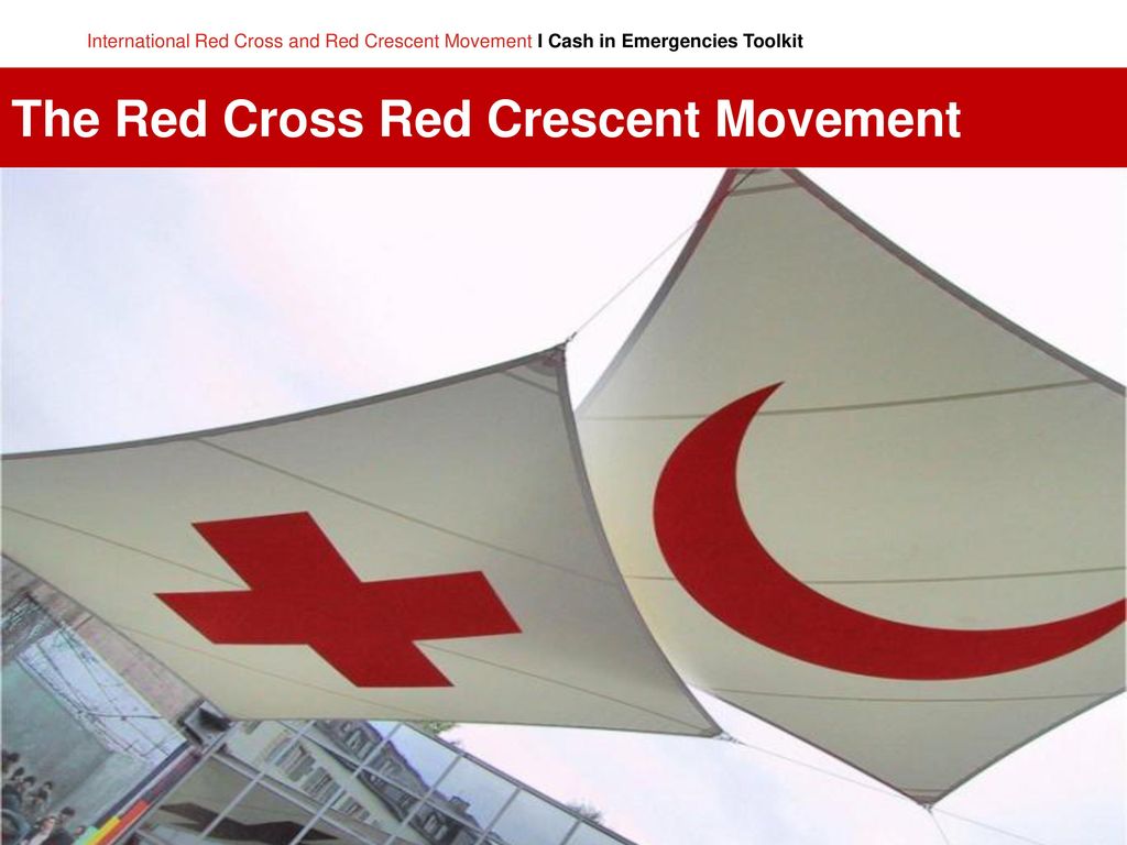 The Red Cross Red Crescent Movement