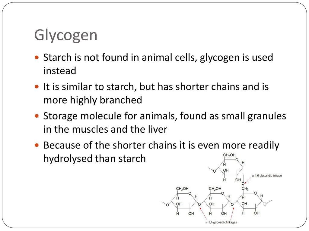Starch, Glycogen and Cellulose - ppt download