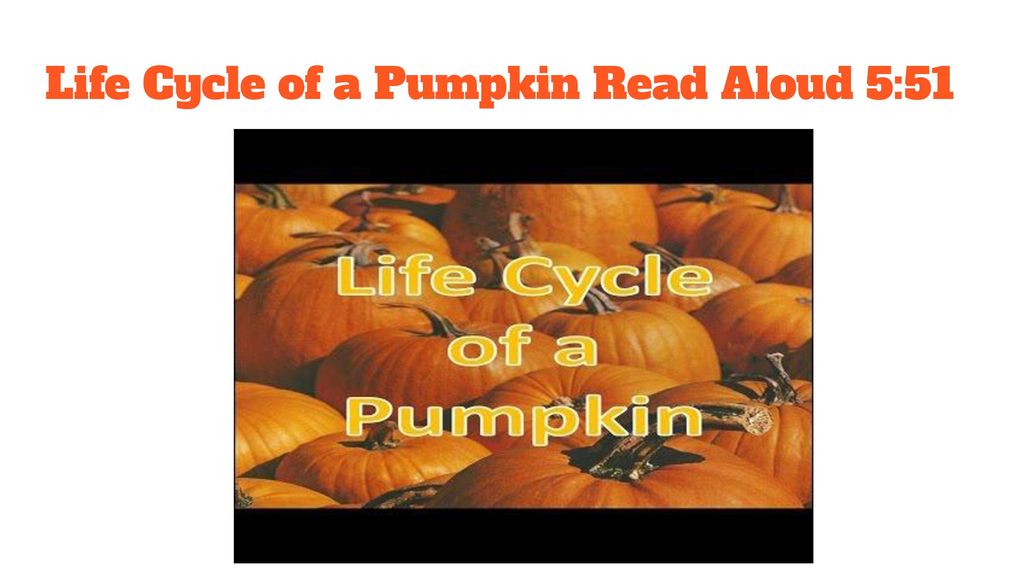 Life cycle of a pumpkin pg ppt download
