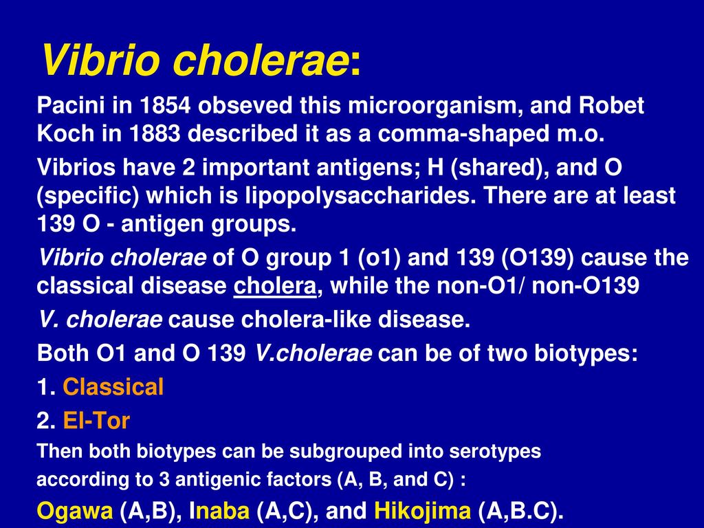 Gram Negative Curved Bacilli Ppt Download