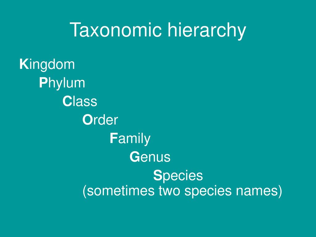 Taxonomy and Classification - ppt download