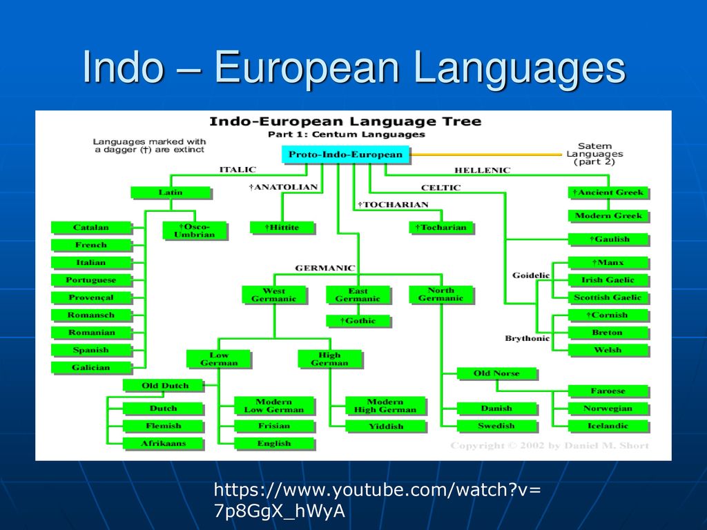 Слова европейских языков. Indo European languages. Indo European languages Tree. Indo European языки. Индоевропейские языки схема.