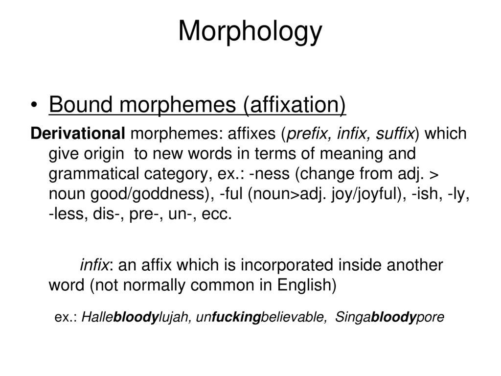 Morphology. - ppt download