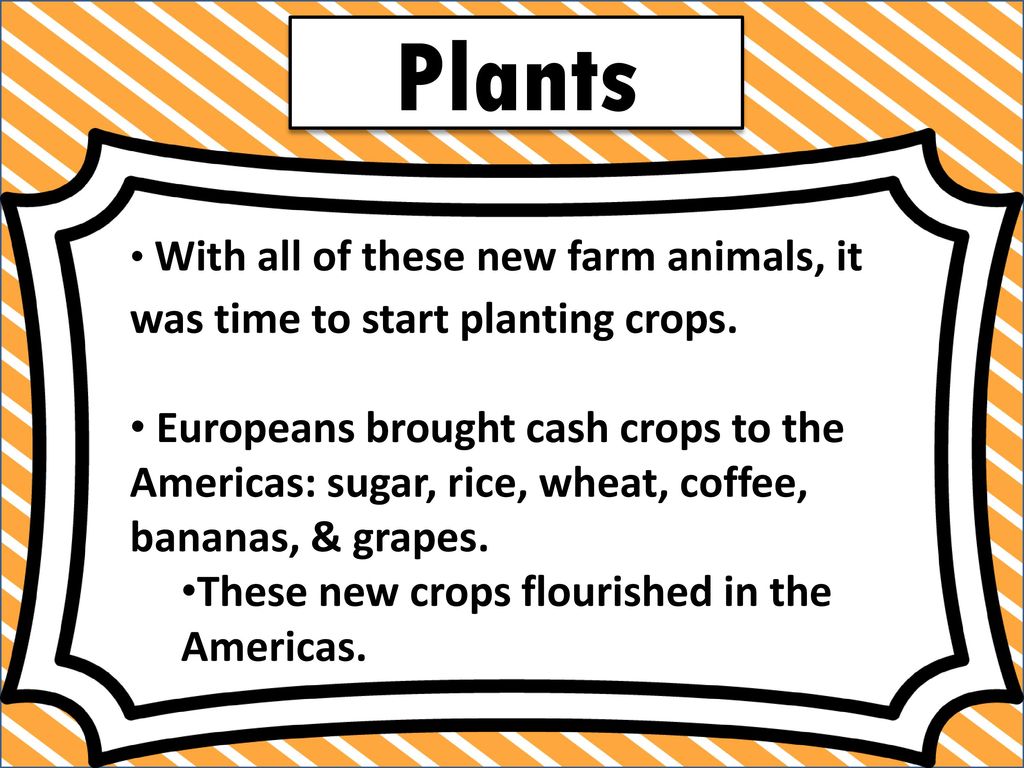 Plants With all of these new farm animals, it was time to start planting crops.