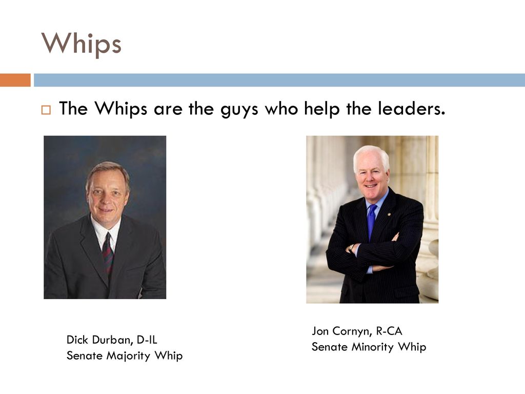 Whips The Whips are the guys who help the leaders. Jon Cornyn, R-CA