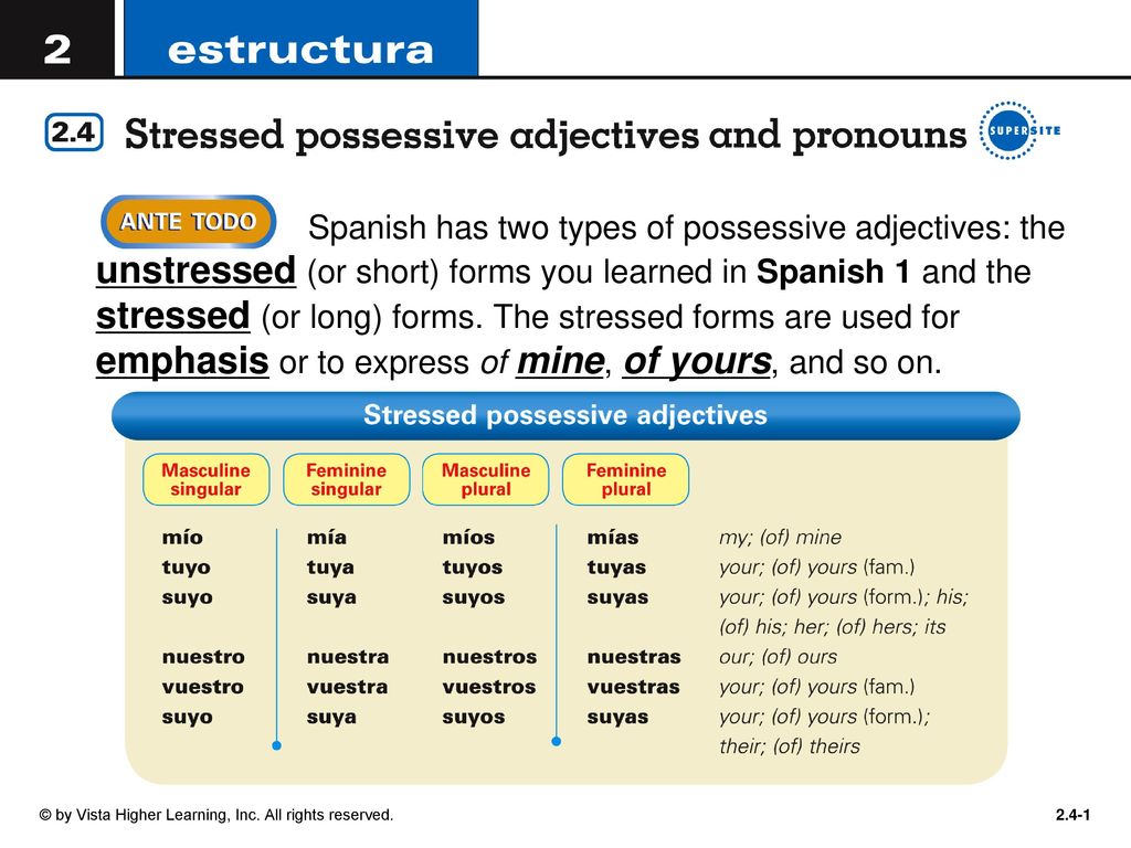 Spanish Has Two Types Of Possessive Adjectives The Unstressed Or