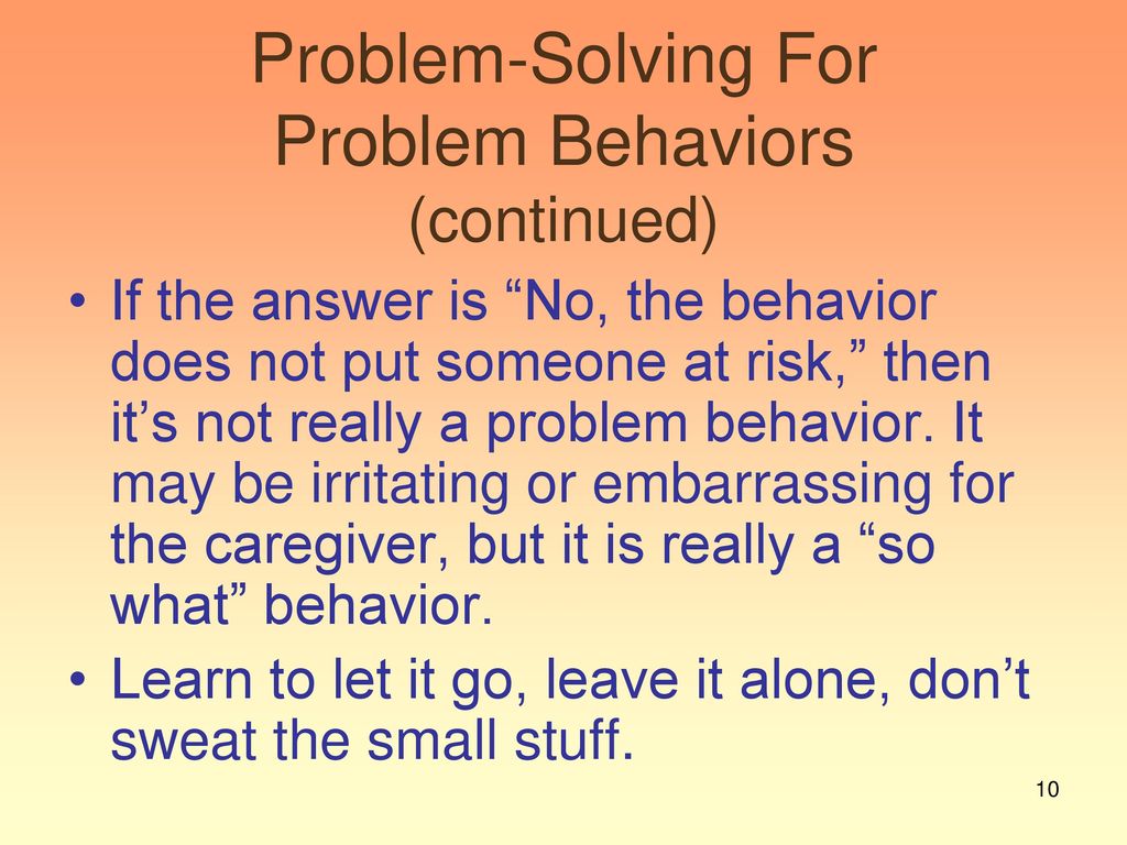 Meaningful Day and Dealing With Problem Behaviors ppt download