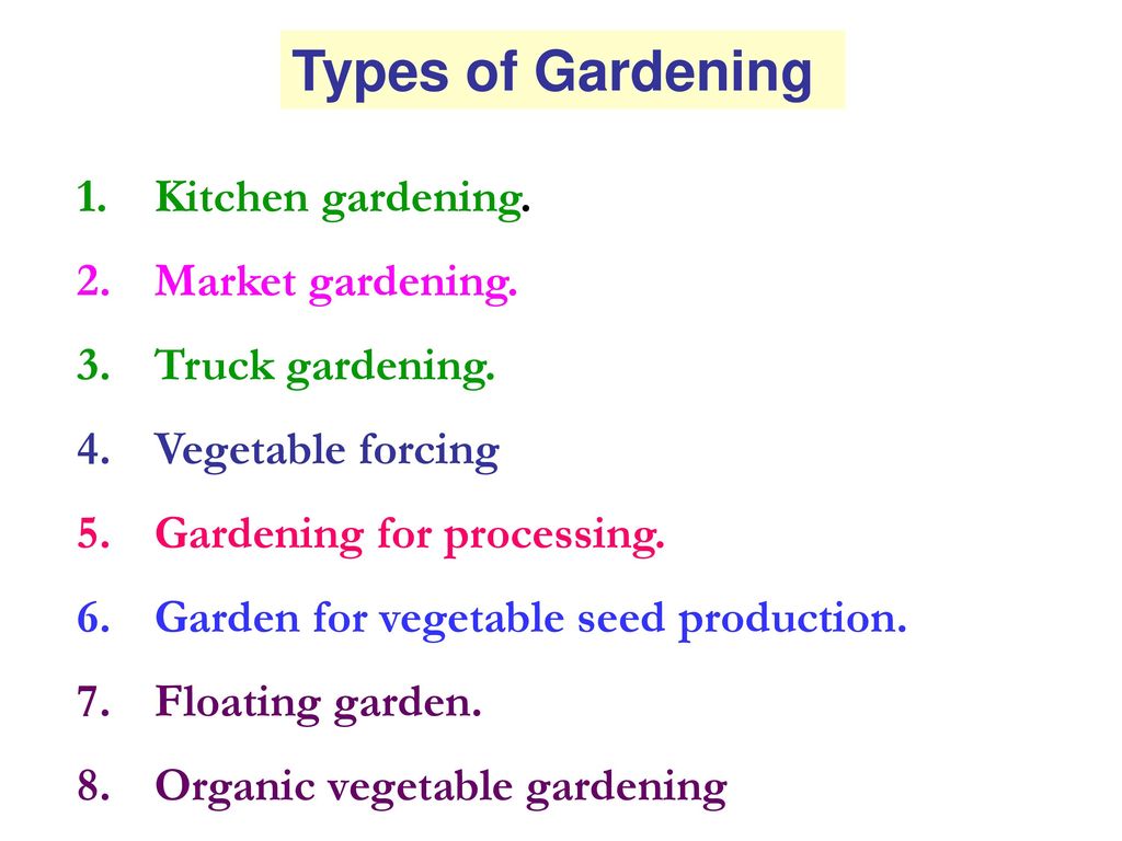 Importance of vegetable farming   ppt download