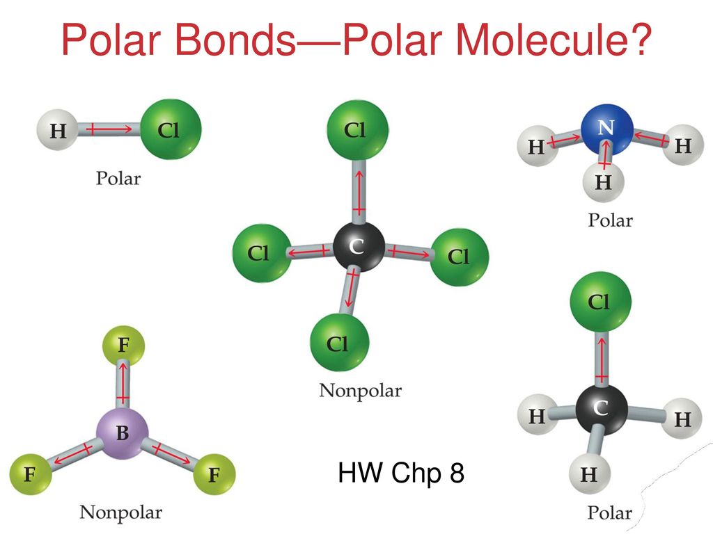 Polar Bonds—Polar Molecule.