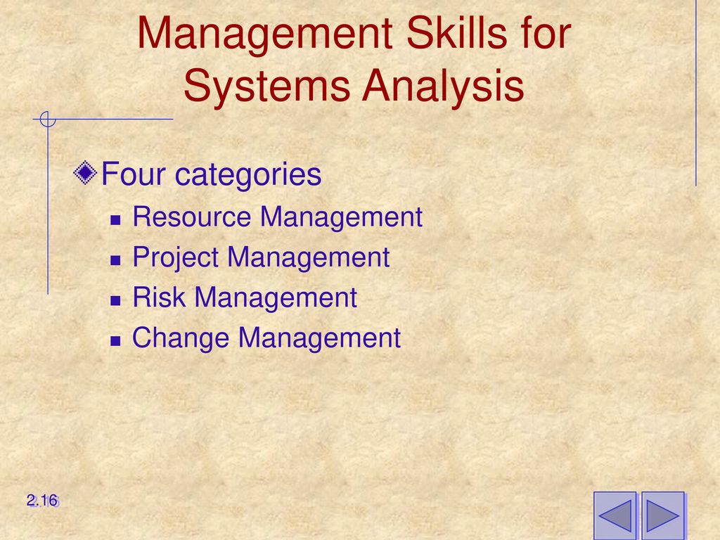 Management Skills for Systems Analysis