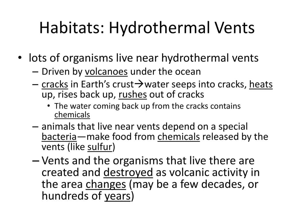 Habitats: Hydrothermal Vents