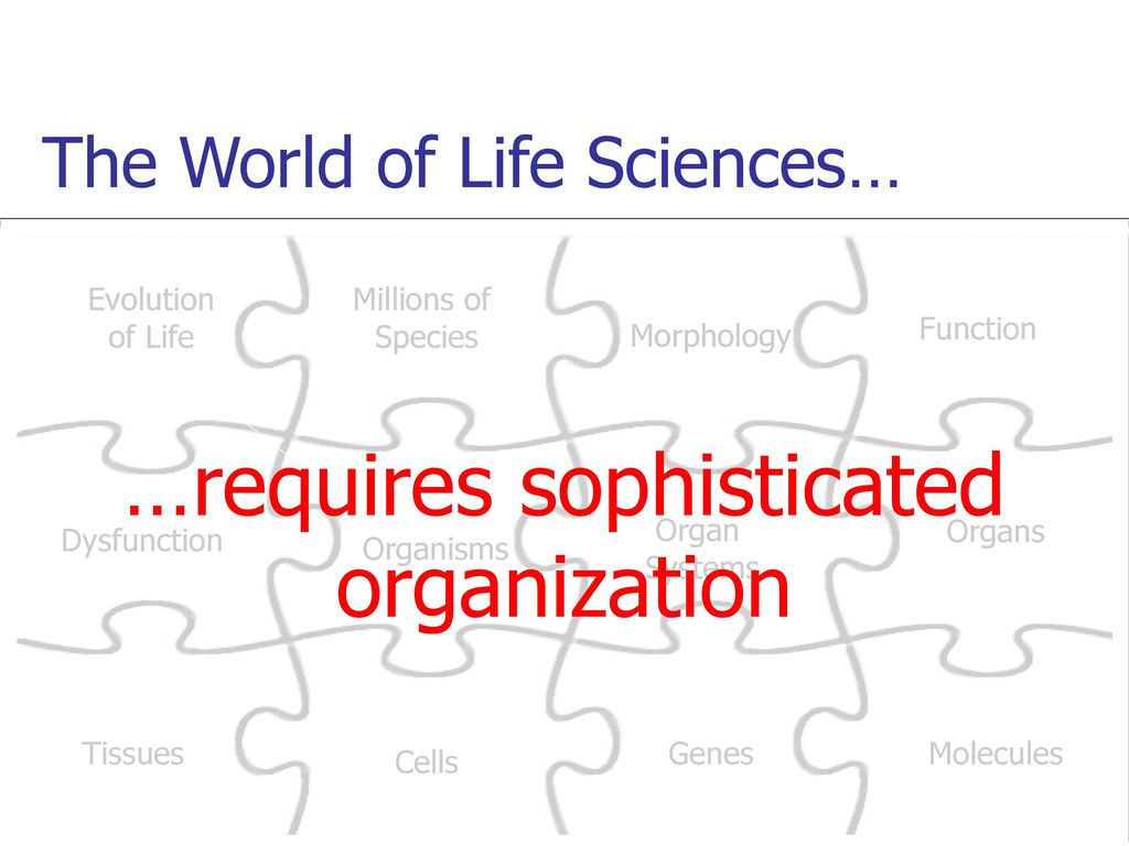 The World of Life Sciences…