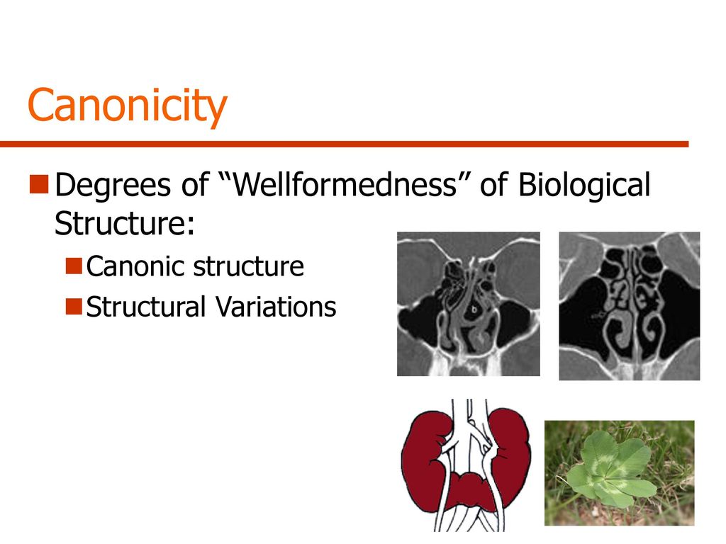 Canonicity Degrees of Wellformedness of Biological Structure: