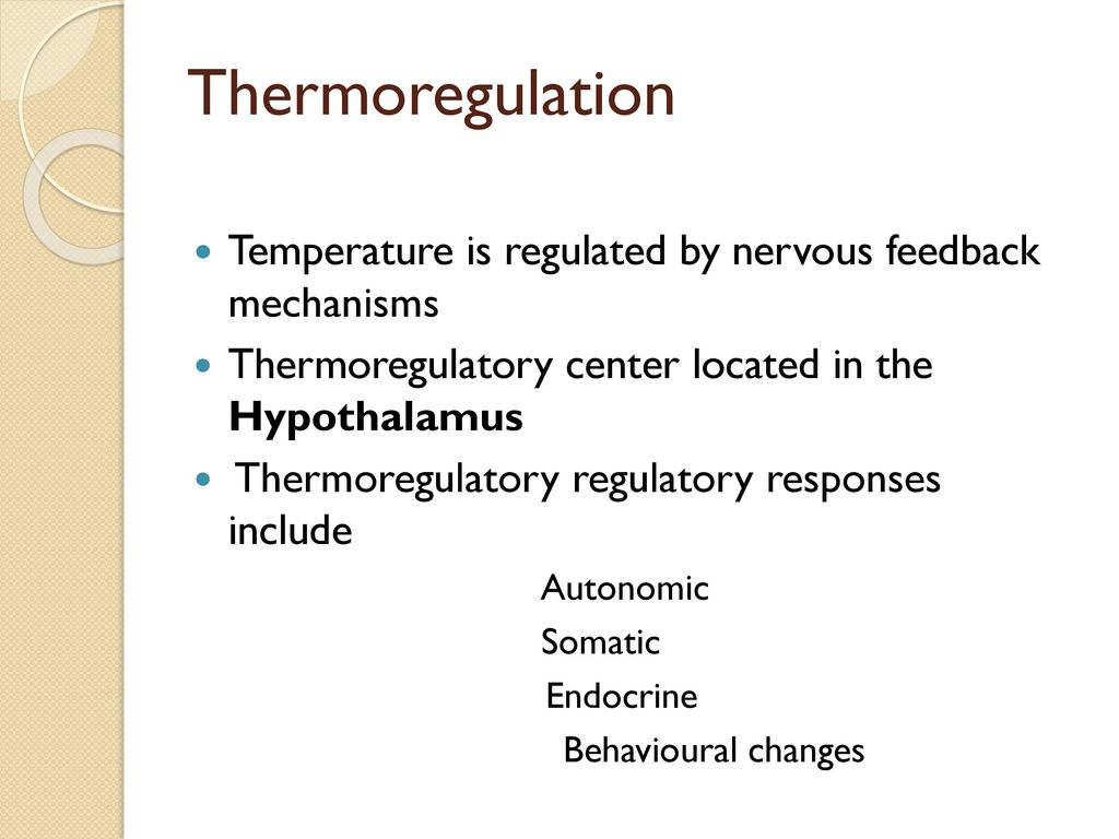 Madison versneller Inspectie Temperature Regulation EQ How does our body regulate temperature? - ppt  download