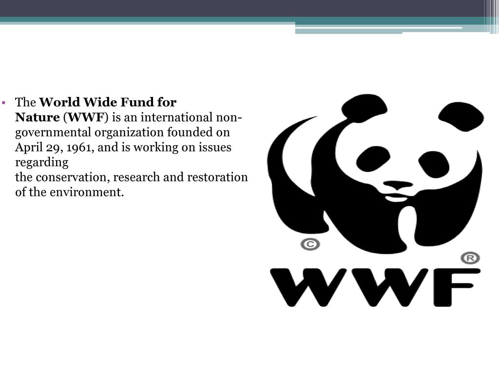 porcelæn Fodgænger Blive gift The World Wide Fund for Nature (WWF) - ppt download