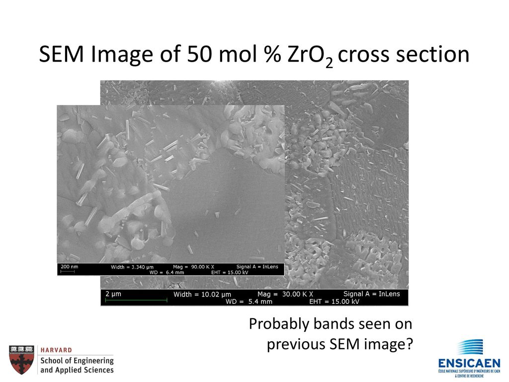 SEM Image of 50 mol % ZrO2 cross section