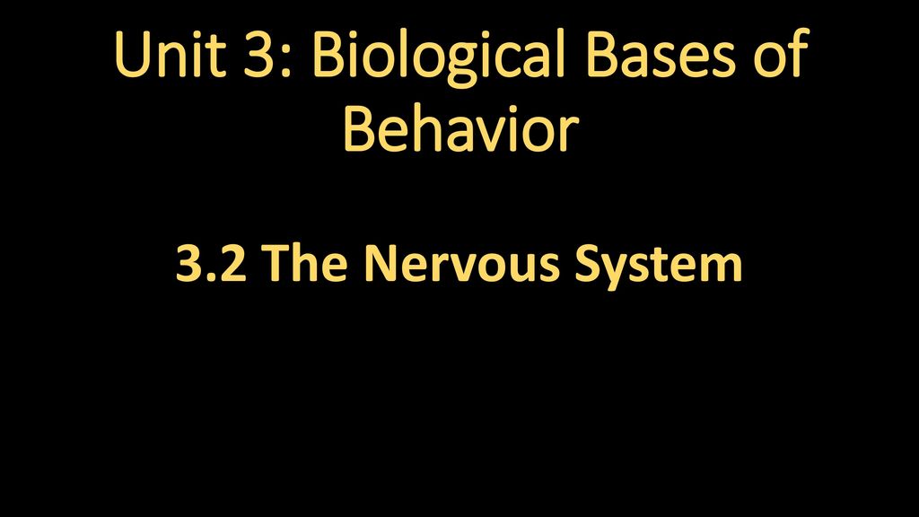 Unit 3 Biological Bases Of Behavior Ppt Download 4402