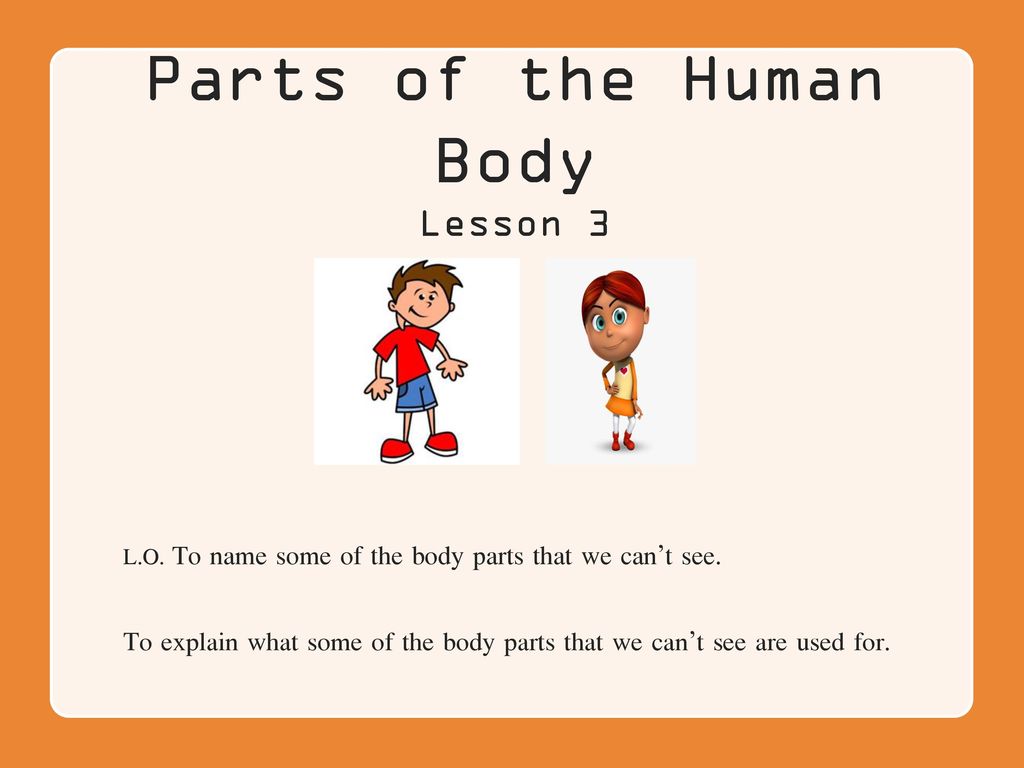 Class 1 EVS  My Body - Explanation 