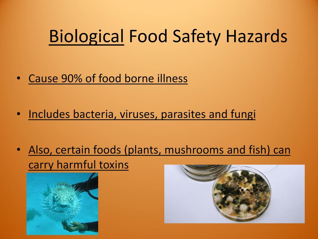 Food Safety (your notes should focus on underlined information) - ppt ...