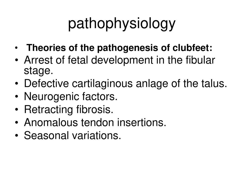 Club Foot Talipes Equinovarus Ppt Download Club Foot Talipes Equinovarus Ppt Download