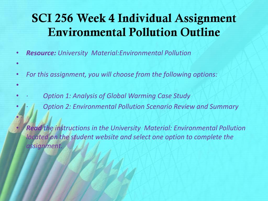 SCI 256 Week 4 Individual Assignment Environmental Pollution Outline