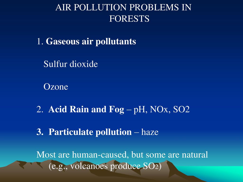 AIR POLLUTION PROBLEMS IN FORESTS
