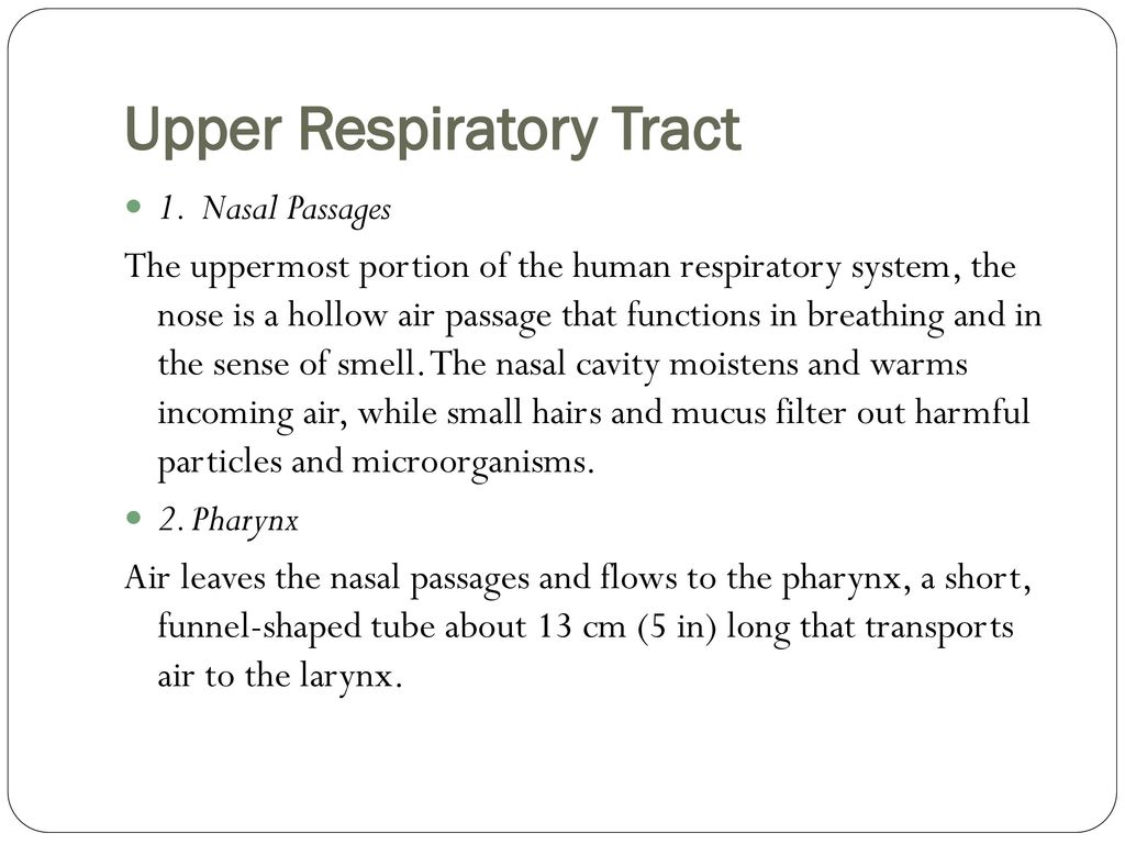 Biology I BIO 103 HbR. - ppt download