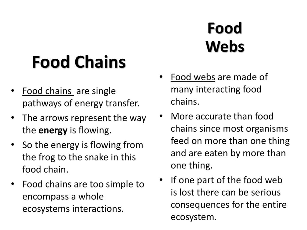 Energy Transfer In Ecosystems Ppt Download energy-transfer-in-ecosystems-ppt-download