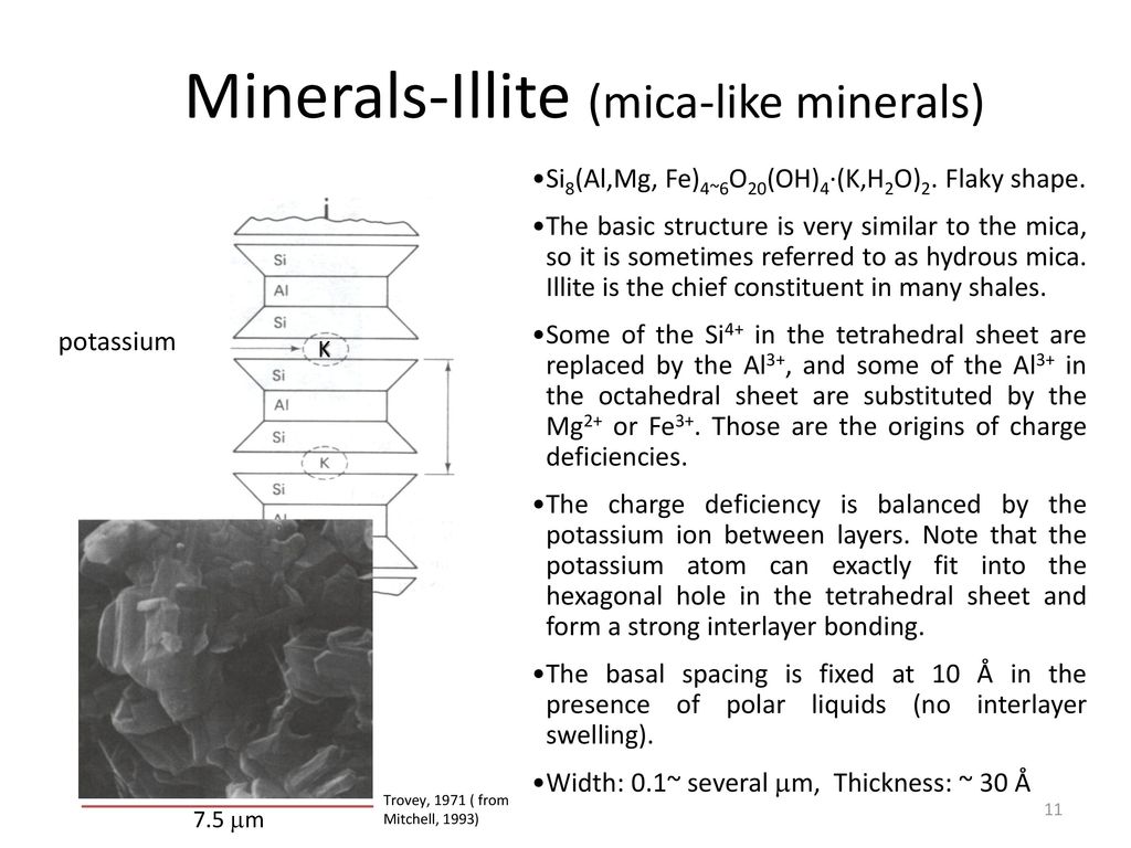 Minerals-Illite (mica-like minerals)