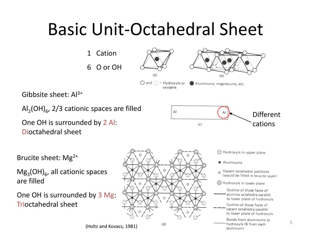 Basic Unit-Octahedral Sheet