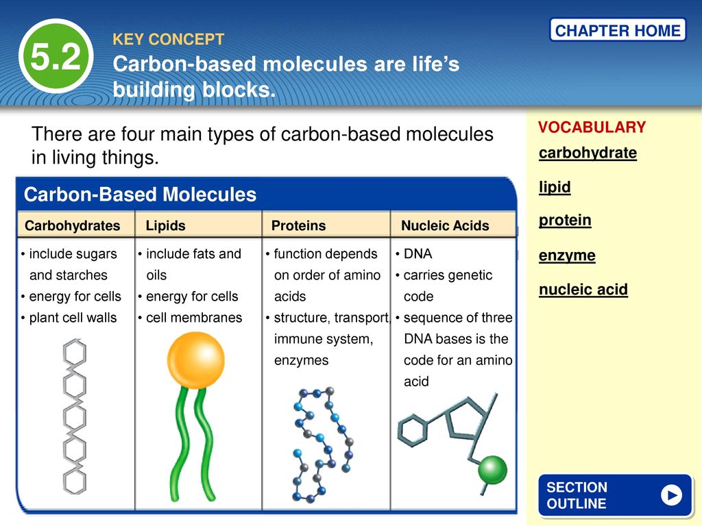 carbon-in-life-and-materials-ppt-download