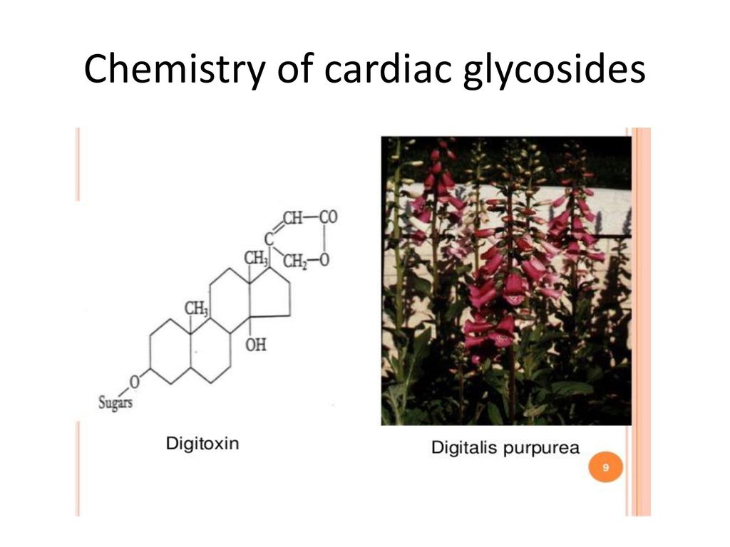 Chemistry of cardiac glycosides