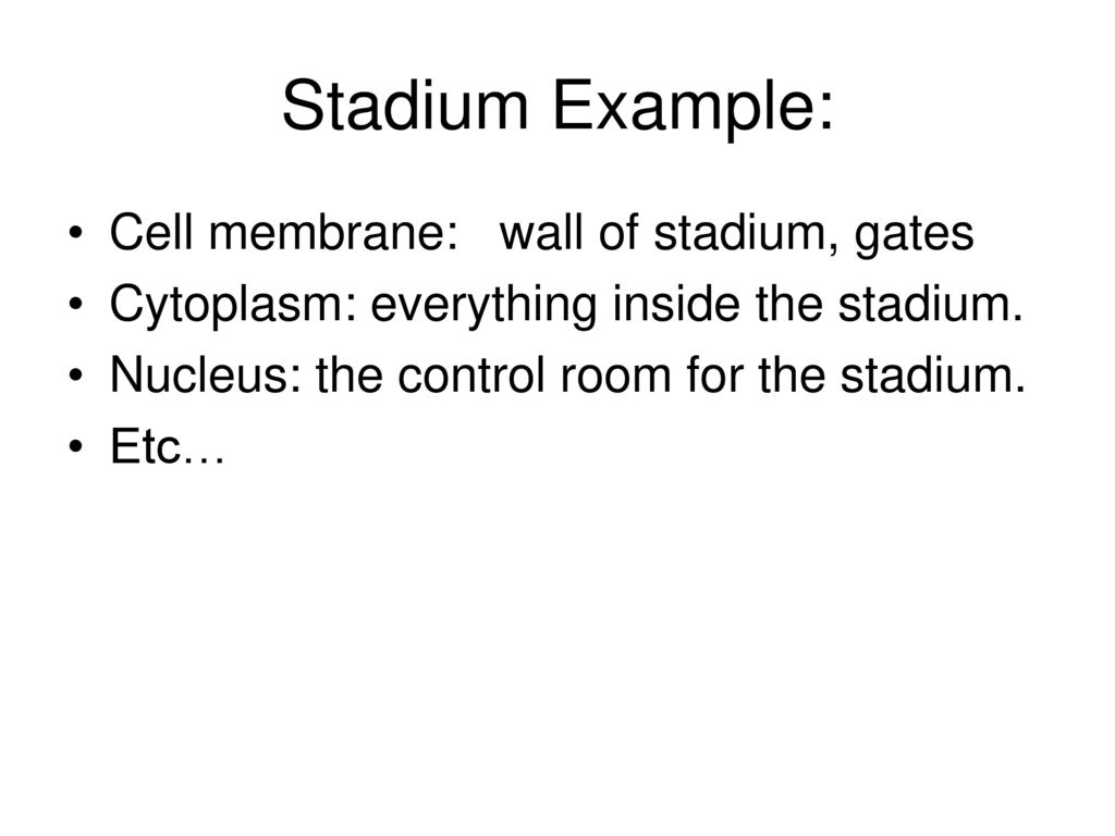 Stadium Example: Cell membrane: wall of stadium, gates