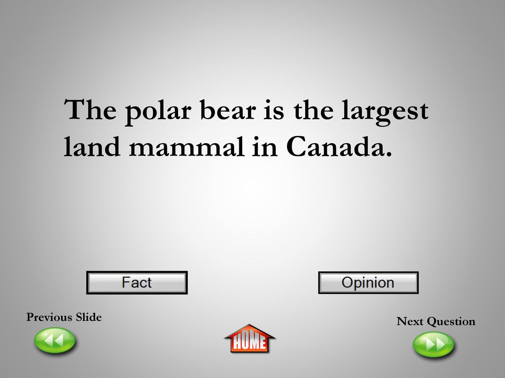 The polar bear is the largest land mammal in Canada.