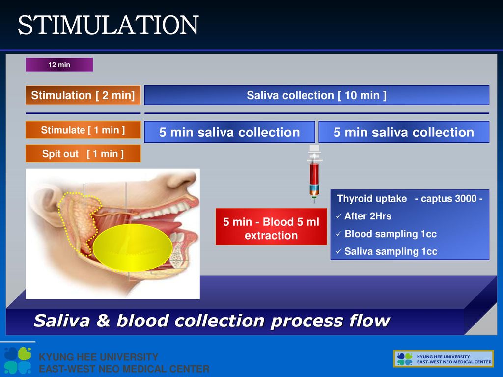 STIMULATION Saliva & blood collection process flow