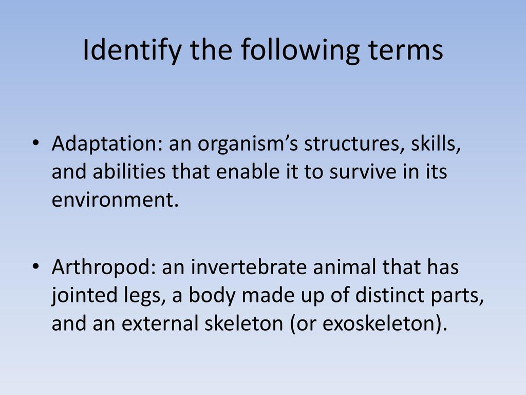 Variety Of Life: Science Review - ppt download