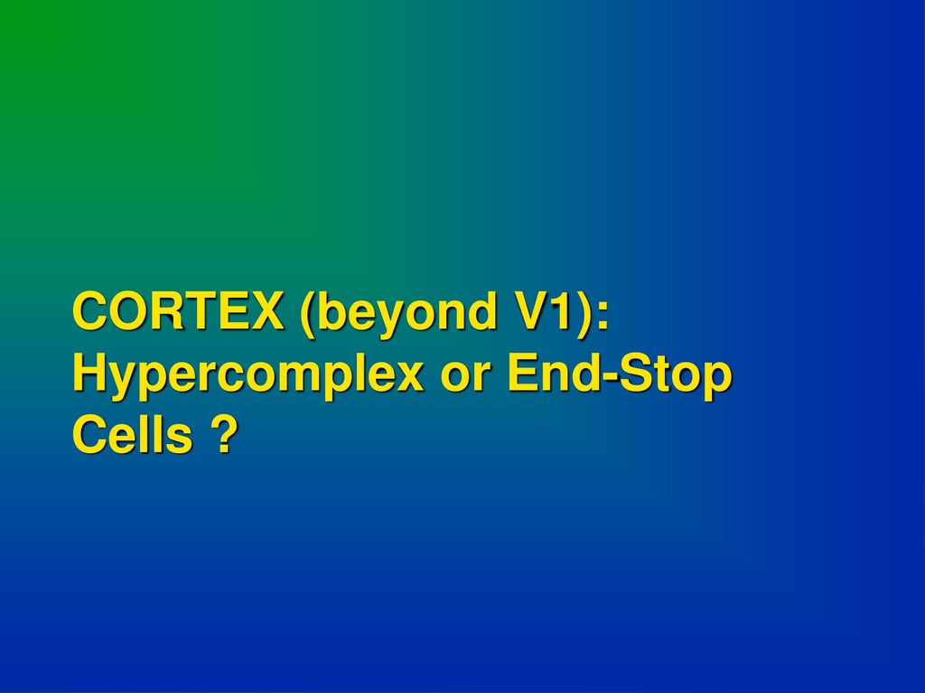 CORTEX (beyond V1): Hypercomplex or End-Stop Cells