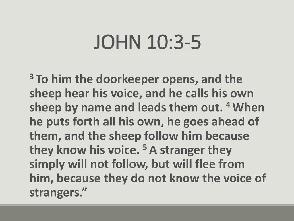 JOHN 10 3 5 3 To Him The Doorkeeper Opens And The Sheep Hear His Voice john-10-3-5-3-to-him-the-doorkeeper-opens-and-the-sheep-hear-his-voice