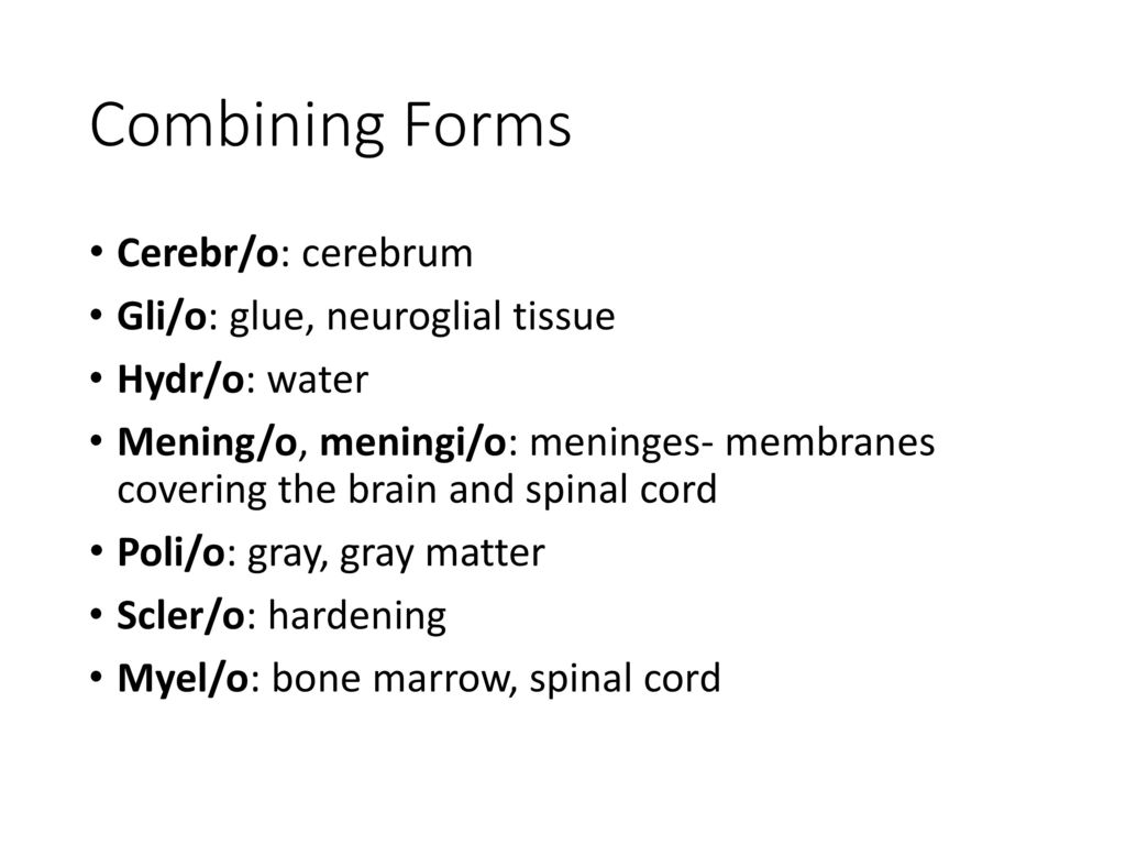 Nervous System. ppt download