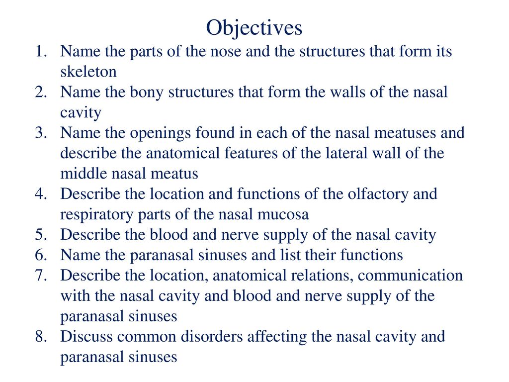Nasal Cavity And Paranasal Sinuses Ppt Download