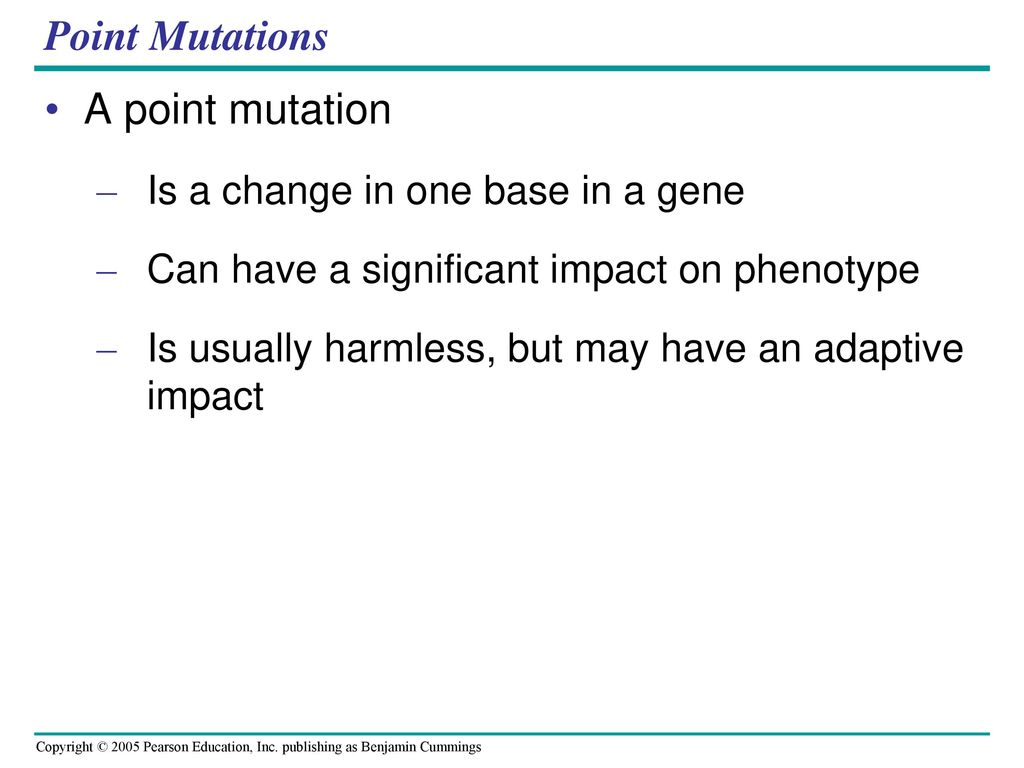 Point Mutations A point mutation Is a change in one base in a gene