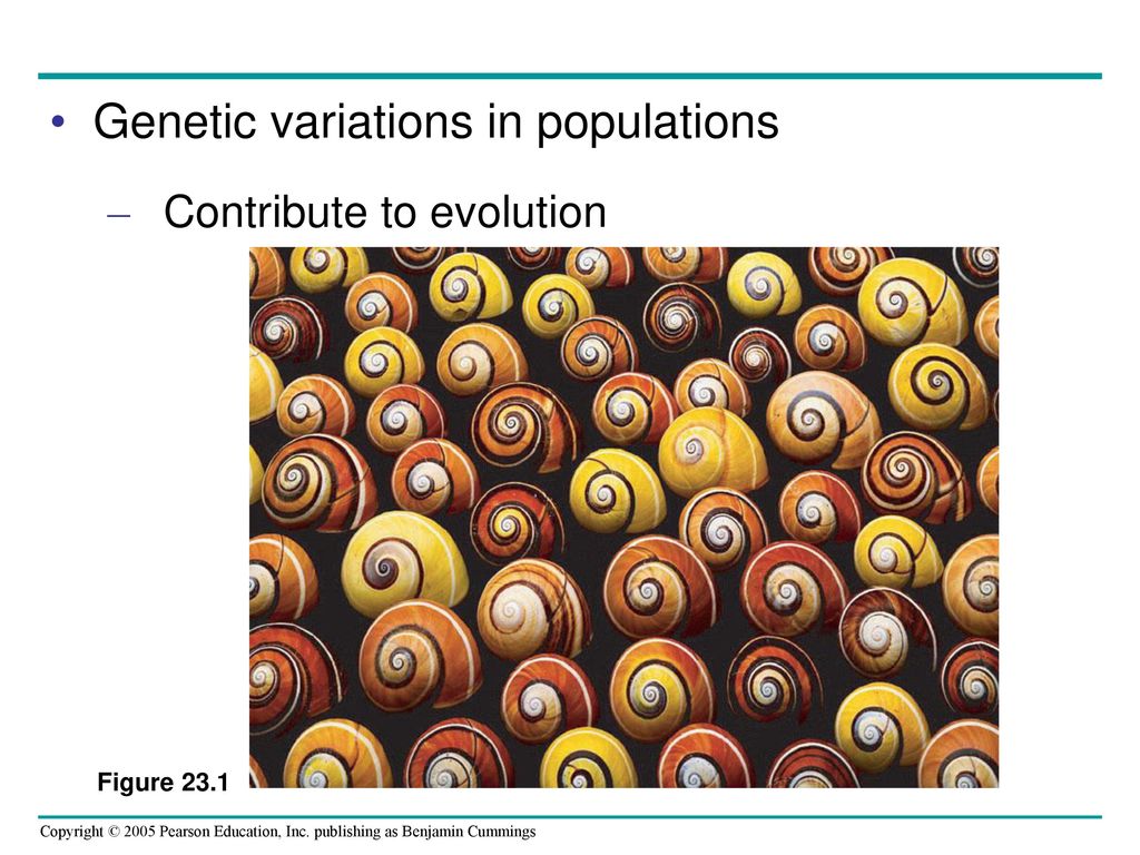 Genetic variations in populations