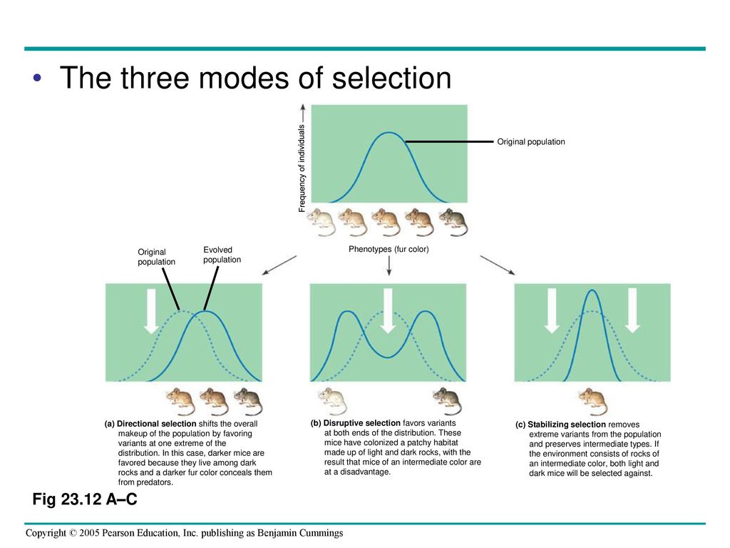 The three modes of selection