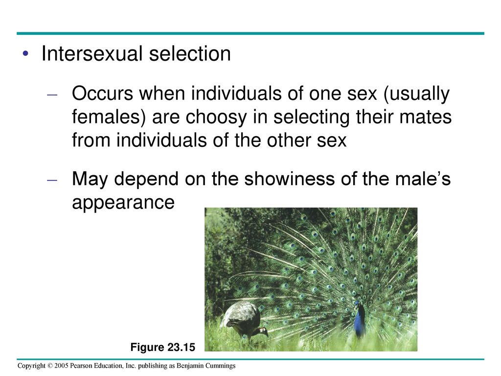 Intersexual selection